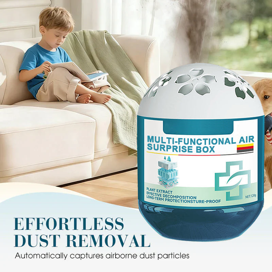 🔥2026 New Collection - Limited-Time ⏰Indoor  Purification Dust Removal Surprise Box🏠🌿