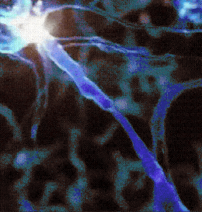 BUY 5 GET 3 FREE🔥🔥 Vitality Spray For Men 🍆 Powerful Erections in Just 3 Minutes! | Powered by Alisanda™